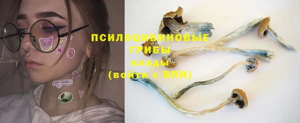 кокаин Заводоуковск