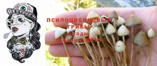 МДМА Заволжье