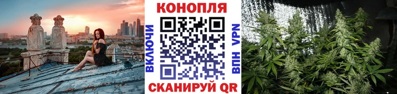 Бошки Шишки THC 21%  Купить  Гулькевичи 